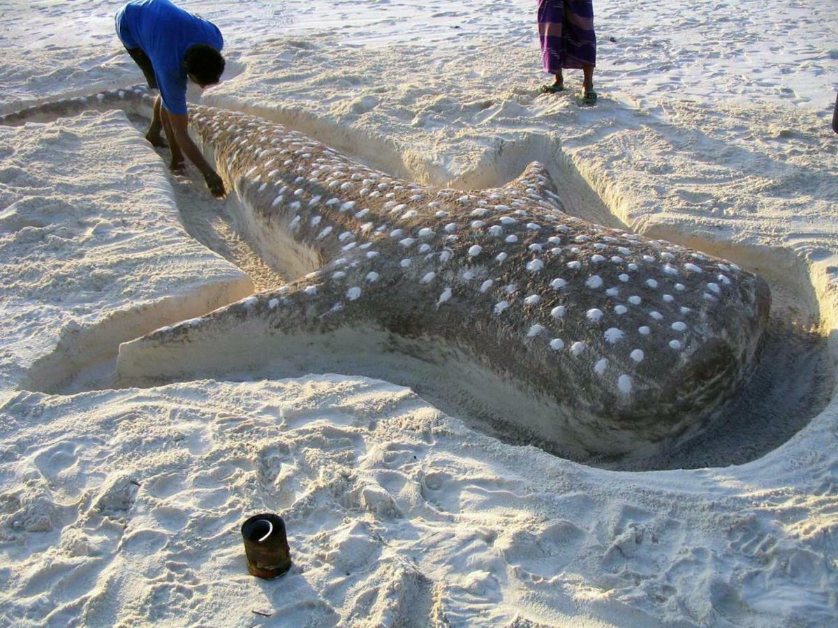 Dharavandhoo Stay Eksteriør billede