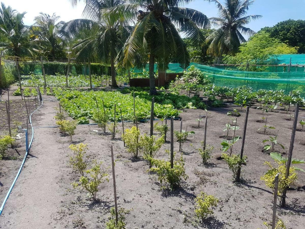 Dharavandhoo Stay Eksteriør billede
